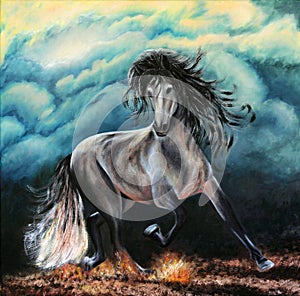 The playful horse beats with a hoof. Horse on a background of clouds.