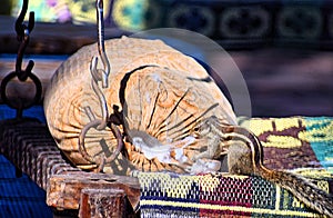 Playful Indian Palm Squirrel - Funambulus palmarum - playing with Cotton in Pillow - Funny animal - Active Rodent