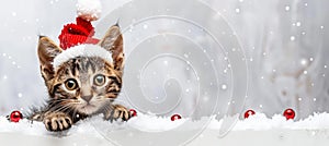 Playful kitten in festive hat peeking behind blank sign, cute christmas pet photo