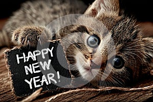 Playful kitten with New Year sign and ribbon