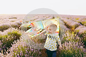 Playful little cute child baby boy walk on purple lavender flower meadow field, run, have fun, play with colorful kite