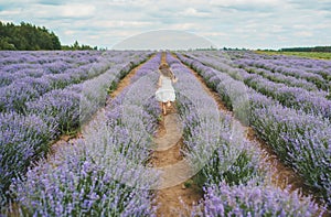 Playful little cute child baby girl walk on purple lavender flower meadow field background. Back view