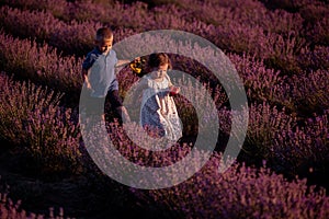 Playful little cute couple boy girl walk on purple lavender flower meadow field background, have fun