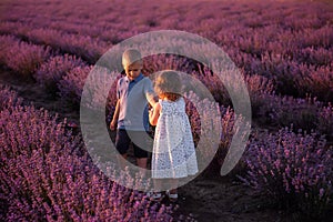 Playful little cute couple boy girl walk on purple lavender flower meadow field background, have fun