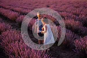 Playful little cute couple boy girl walk on purple lavender flower meadow field background, have fun