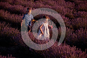 Playful little cute couple boy girl walk on purple lavender flower meadow field background, have fun