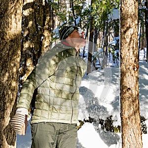 Playful Outing under Snow-Covered Branches in Forest