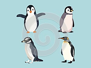 Playful Penguins Frolicking on Ice