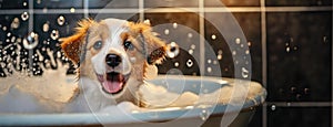 A playful puppy in a bubble bath with joyous splashes. A small, lively dog with droplets of water in the air enjoys a