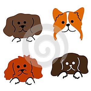 Playful Pups: Vector Illustration of Four Cute Dog Breeds