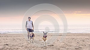 Playful senior dogs on beach