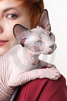 Playful Sphynx kitten looking away, sitting on shoulder redhead woman. Selective focus on foreground