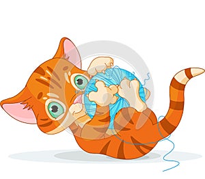 Playful Tubby Kitten