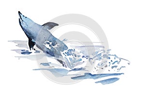 Playfull watercolor blue dolphin jump from the water in the splash of foam. Original illustration of sea animal