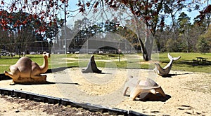 Playground Sand in Mazarick Park, Fayetteville, NC