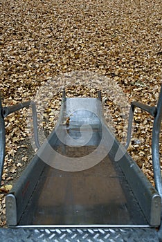 Playground Slide Autumn Leaves