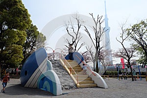 Playground at Sumida Park near Sumida River with tokyo sky tree view