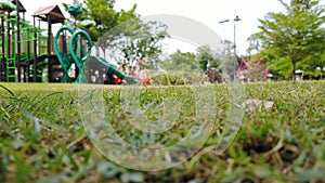 Playgrounds in garden