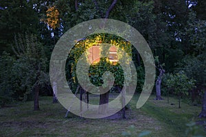 Playhouse on tree in evening garden