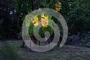 Playhouse on tree in evening garden