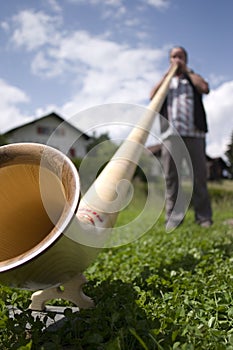 Playing the alphorn