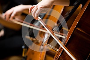 Playing Cello photo