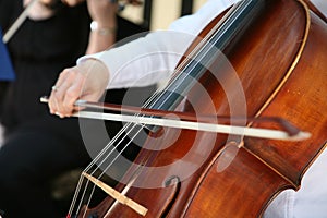 Playing cello photo
