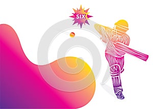 Playing cricket sports poster