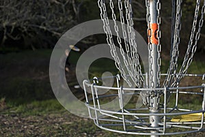 Playing Disc Golf 2