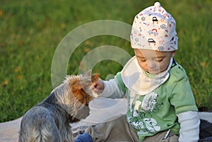 Child playing with a dog photo