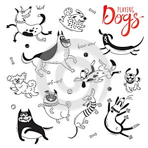 Playing dogs. Funny lap-dog, happy pug, mongrels and other breeds. Set of isolated vector drawings for design