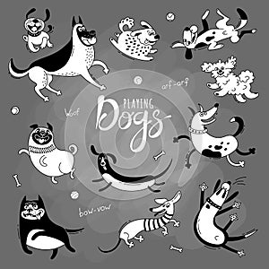 Playing dogs. Funny lap-dog, happy pug, mongrels and other breeds. Set of vector drawings for design