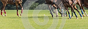 Playing equestrian polo. There are many horse legs and a group of riders in attack with a hammer.