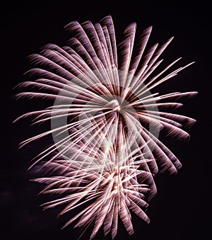 Playing with fireworks in the night sky