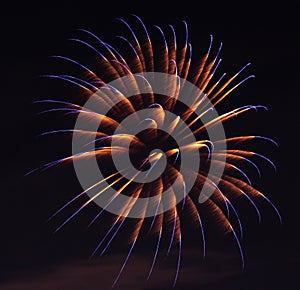 Playing with fireworks in the night sky