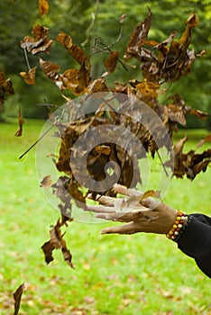 Playing-With-Leaves