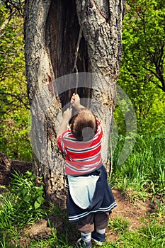 Playing near old tree