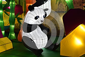 A playing panda