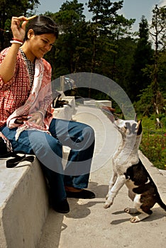 Playing with street dog