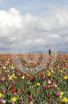 Playing in Tulip Fields