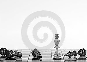 Playing wooden chess pieces