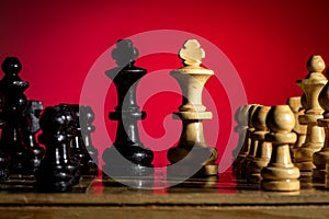 Playing wooden chess pieces