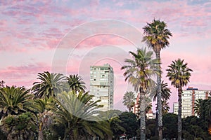 Plaza Colombia at sunset - Vina del Mar, Chile