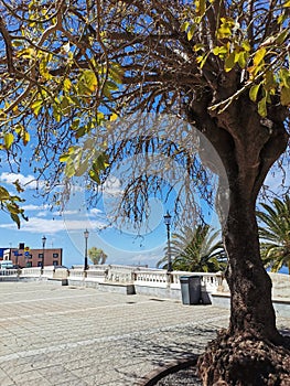 Plaza de Baltasar MartÃ­n, close to the church called \