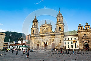 Plaza de Bolivar View