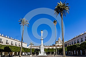 Plaza de la ConstituciÃ³n with palm trees and trees trimmed in a symmetrical shape