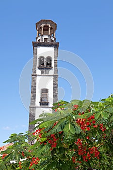 Plaza de la iglesia in santa cruz