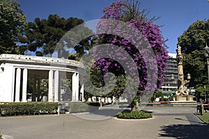 The Plaza de la Independencia is the Plaza de Armas of the Chilean metropolis of ConcepciÃÂ³n.May 2017 photo