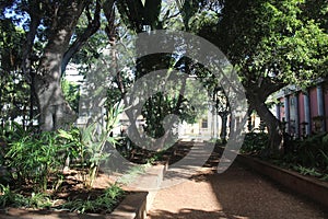 Plaza de Principe, Tenerife- a shaded oasis with tropical plants and birds