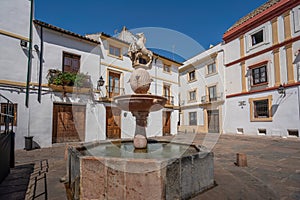 Plaza del Potro Square and Fuente del Potro Fountain - Cordoba, Andalusia, Spain